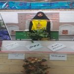 گالری تصاویر