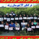 گالری تصاویر