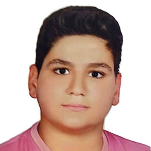 محمدحسین محمدی